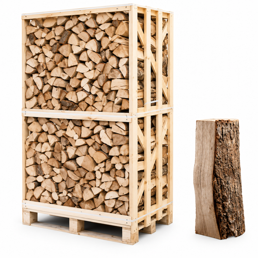 Eschen-Brennholz 25 cm, kammergetrocknet & gespalten – Palette für Kamin & Ofen